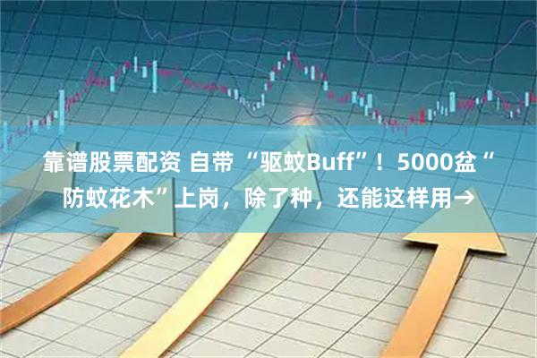 靠谱股票配资 自带 “驱蚊Buff”！5000盆“防蚊花木”上岗，除了种，还能这样用→
