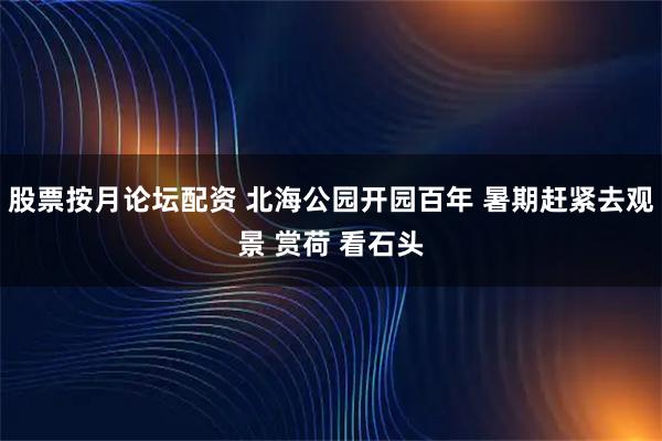 股票按月论坛配资 北海公园开园百年 暑期赶紧去观景 赏荷 看石头
